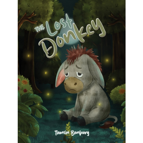 Austin Macauley Publishers The Lost Donkey (häftad, eng)