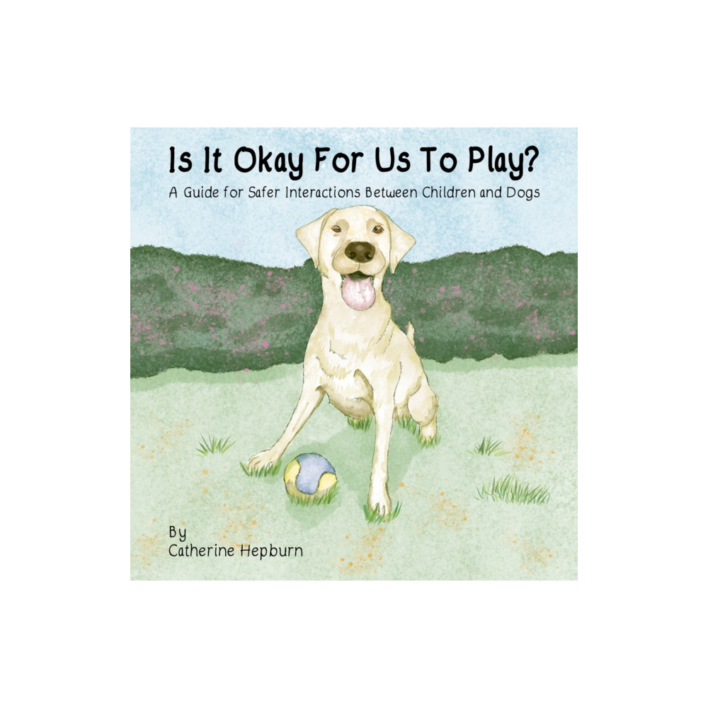 Produktbild för Is It Okay For Us To Play? (häftad, eng)