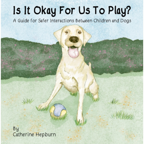 Austin Macauley Publishers Is It Okay For Us To Play? (häftad, eng)