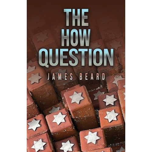Austin Macauley Publishers The How Question (häftad, eng)