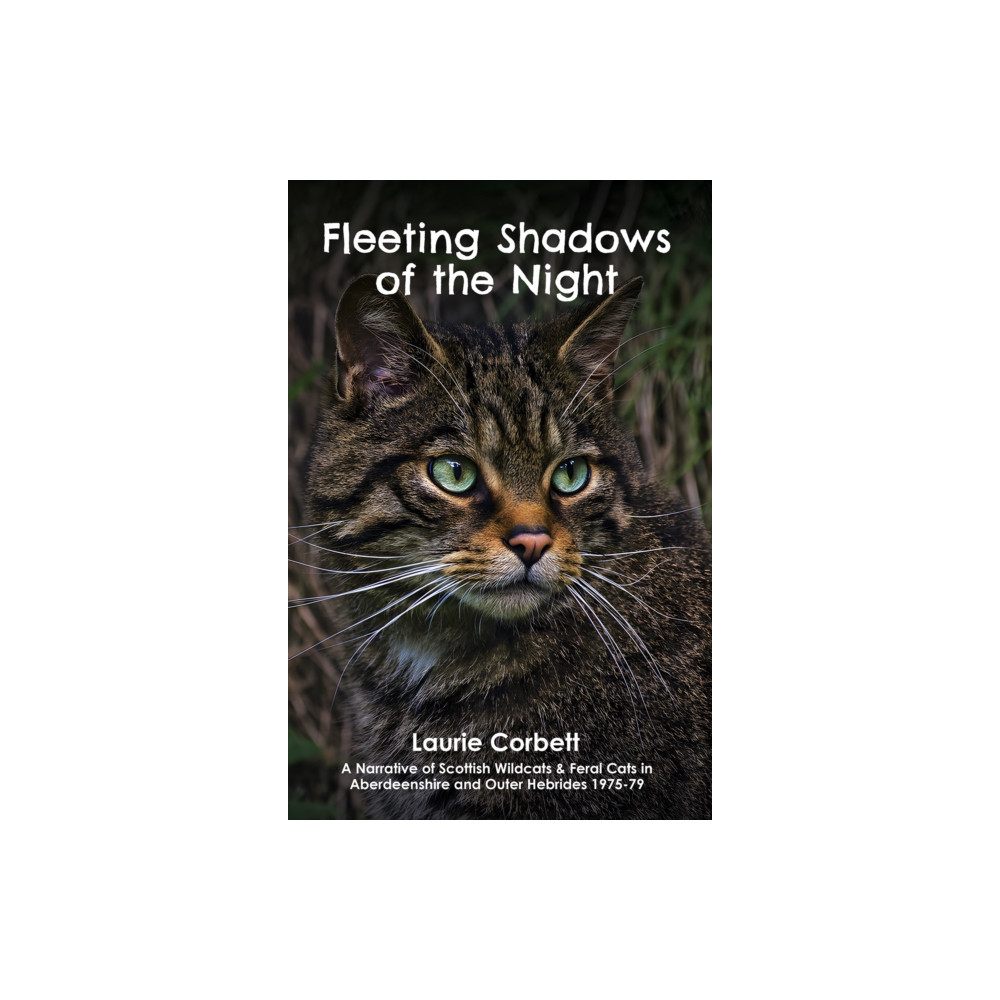 Produktbild för Fleeting Shadows of the Night (häftad, eng)