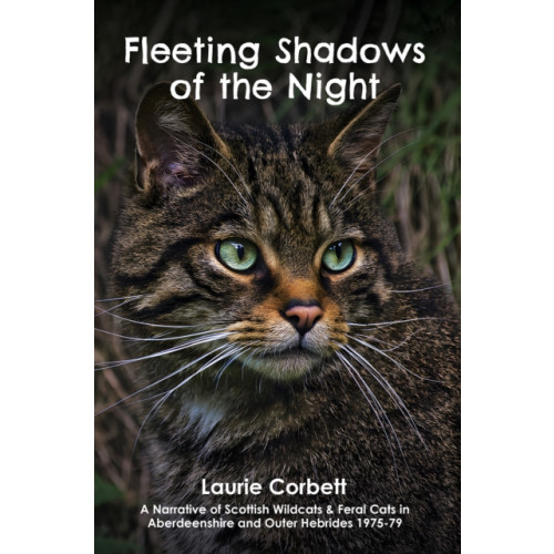 Austin Macauley Publishers Fleeting Shadows of the Night (häftad, eng)