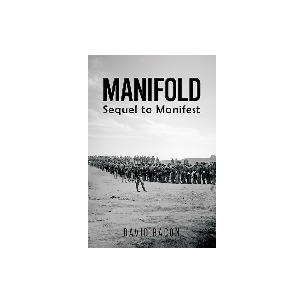 Produktbild för Manifold (häftad, eng)