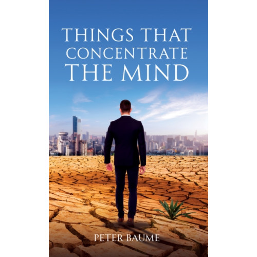 Austin Macauley Publishers Things that Concentrate the Mind (häftad, eng)