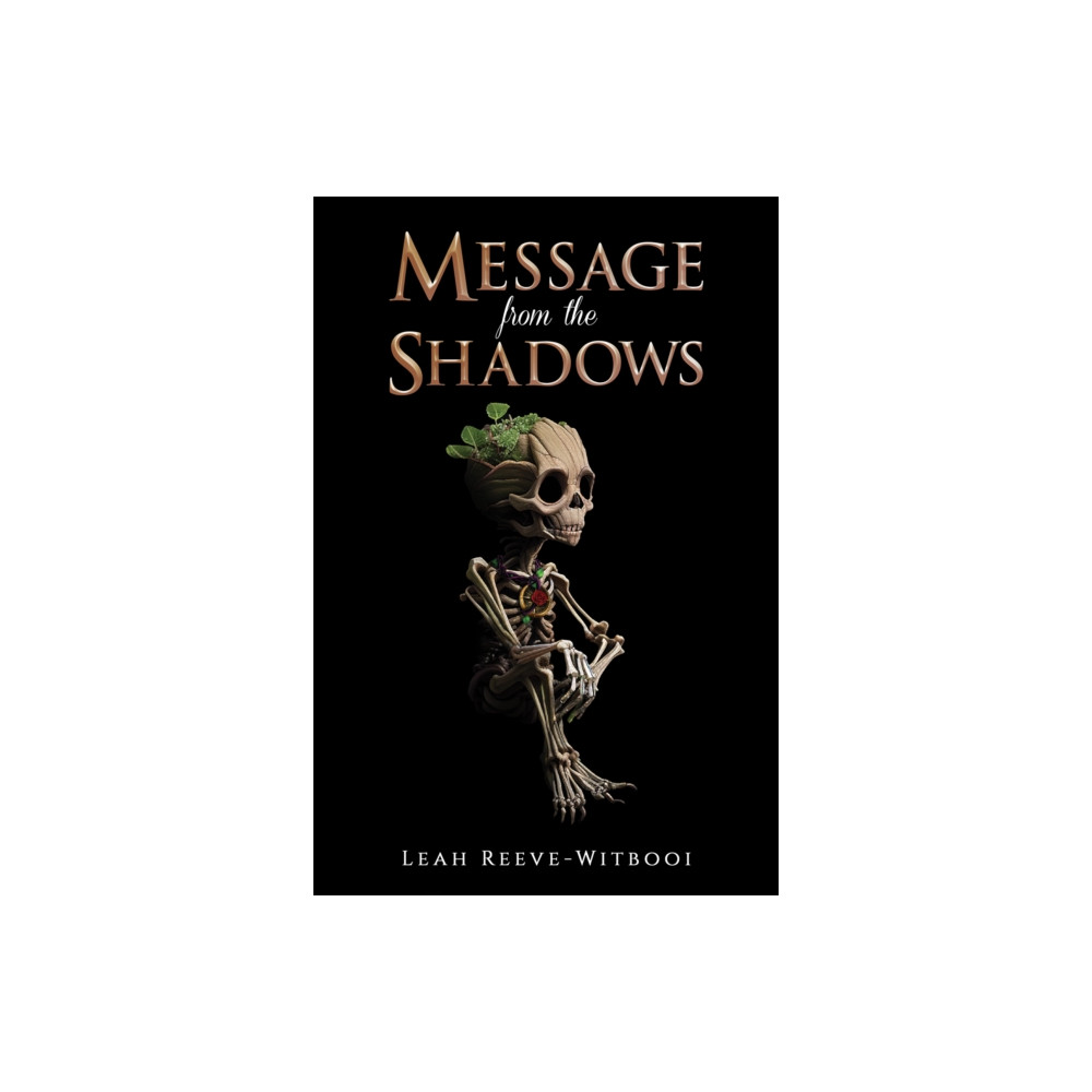 Produktbild för Message from the Shadows (häftad, eng)