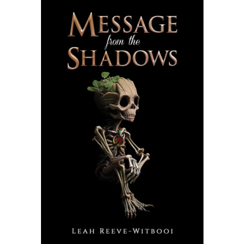Austin Macauley Publishers Message from the Shadows (häftad, eng)