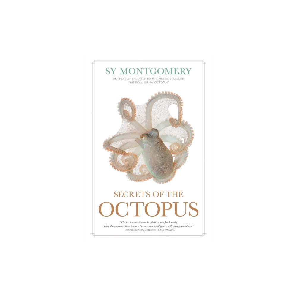 Produktbild för Secrets of the Octopus (häftad, eng)