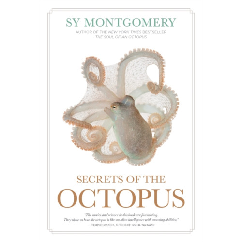 National Geographic Books Secrets of the Octopus (häftad, eng)