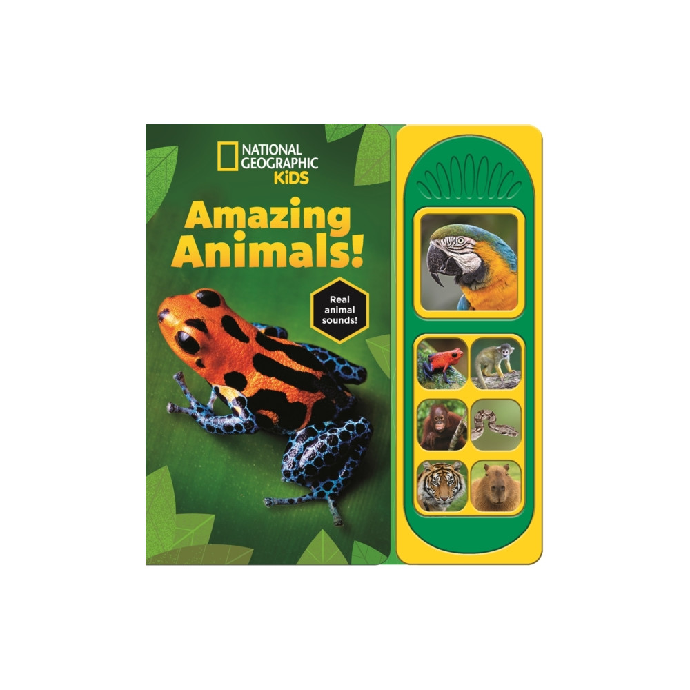 Produktbild för National Geographic Kids: Amazing Animals! Sound Book (bok, board book, eng)