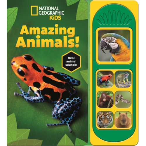 Phoenix International Publications, Incorporated National Geographic Kids: Amazing Animals! Sound Book (bok, board book, eng)