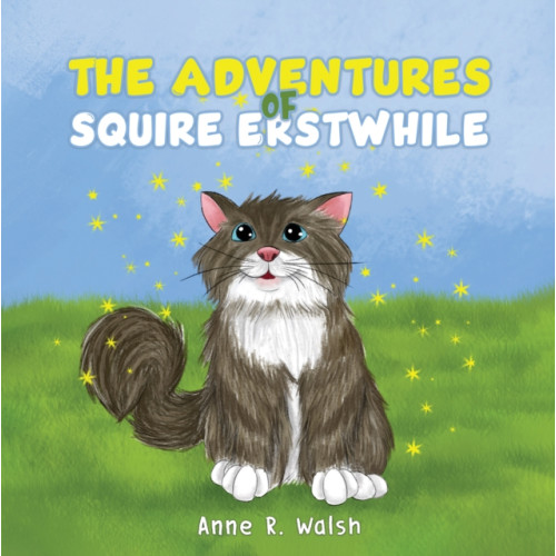 Austin Macauley Publishers The Adventures of Squire Erstwhile (häftad, eng)