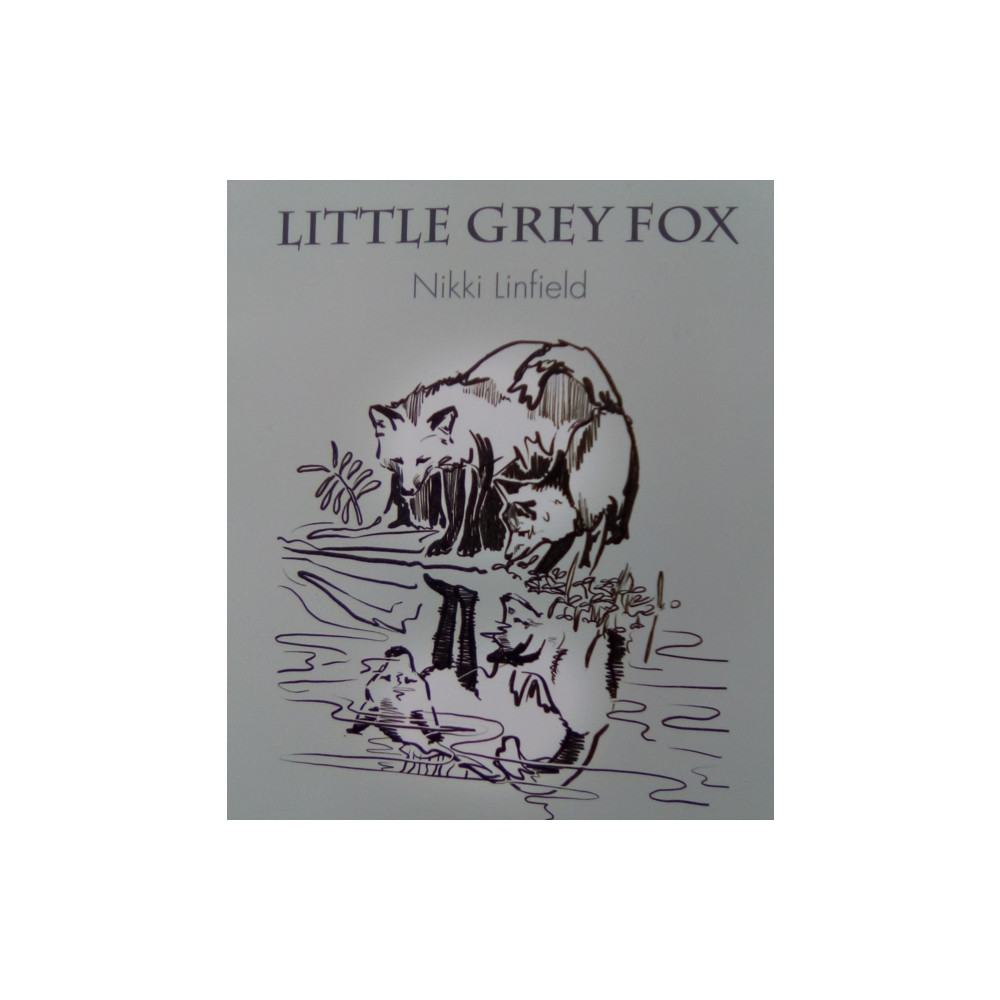 Produktbild för Little Grey Fox (häftad, eng)