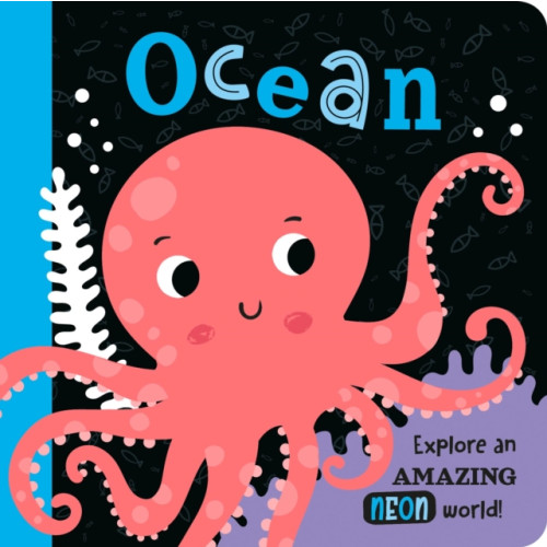 North Parade Publishing Ocean (bok, board book, eng)