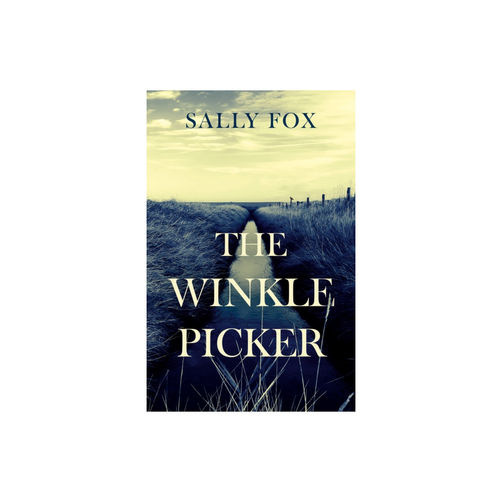 Produktbild för The Winkle Picker (häftad, eng)