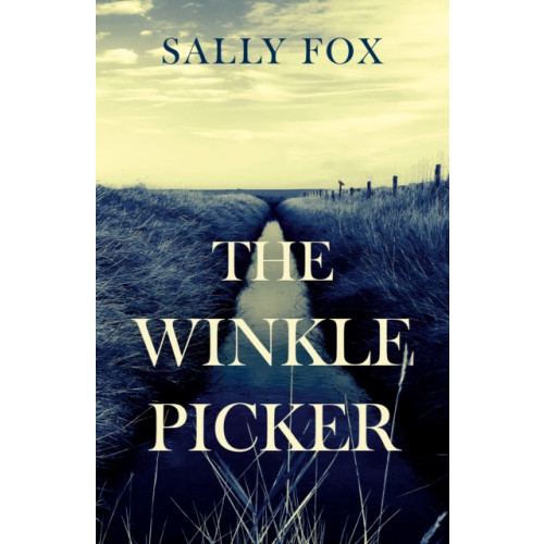 Troubador Publishing The Winkle Picker (häftad, eng)