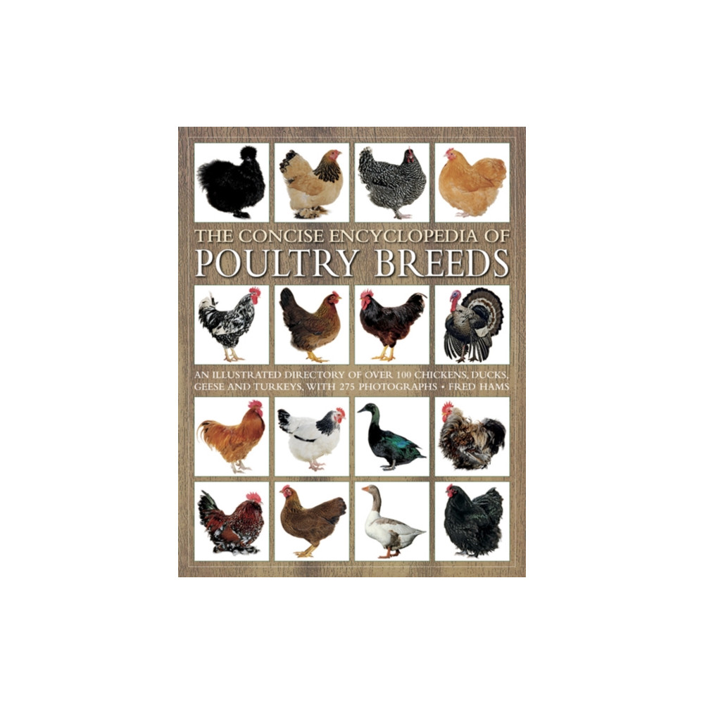 Produktbild för Concise Encyclopedia of Poultry Breeds (häftad, eng)