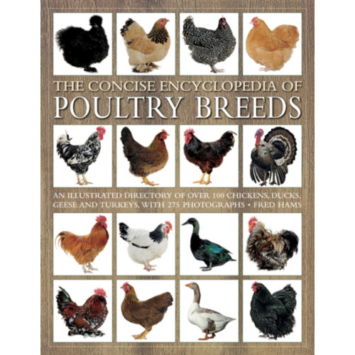 Anness publishing Concise Encyclopedia of Poultry Breeds (häftad, eng)