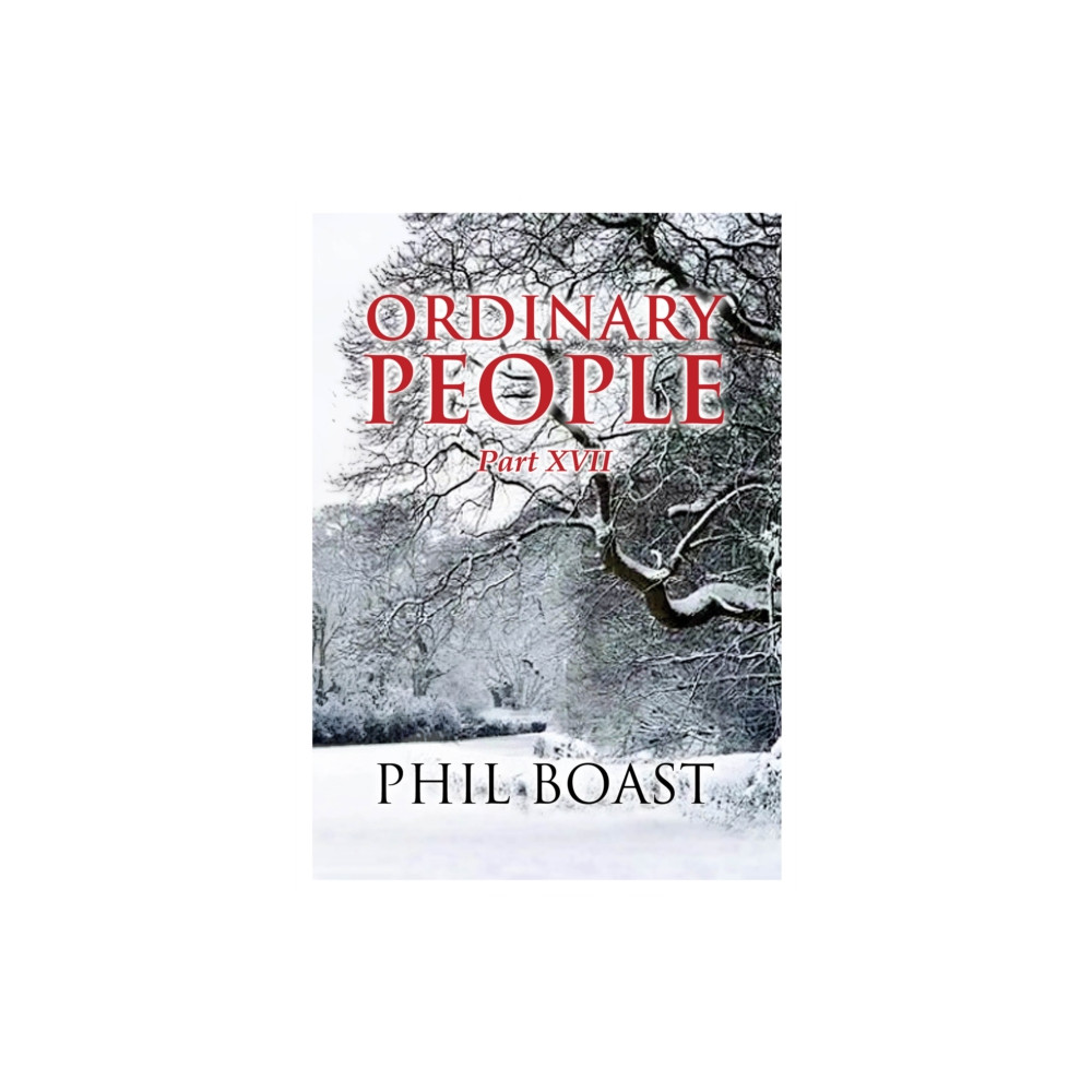 Produktbild för Ordinary People XVII (häftad, eng)