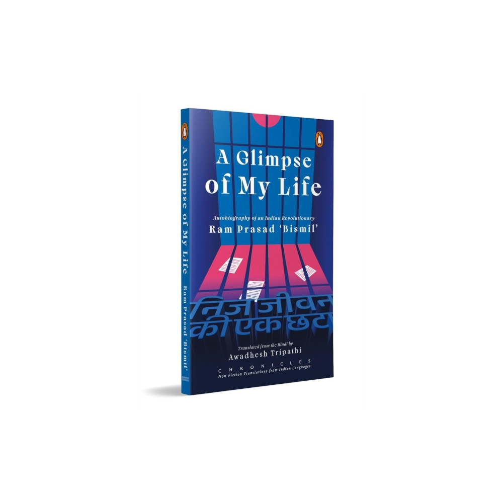 Produktbild för A Glimpse of My Life (häftad, eng)