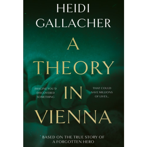The Book Guild Ltd A Theory in Vienna (häftad, eng)