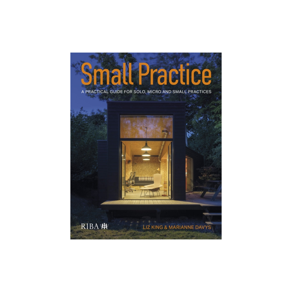 Produktbild för Small Practice (häftad, eng)