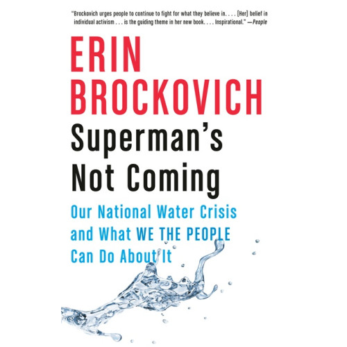 Erin Brockovich Superman's Not Coming (häftad, eng)