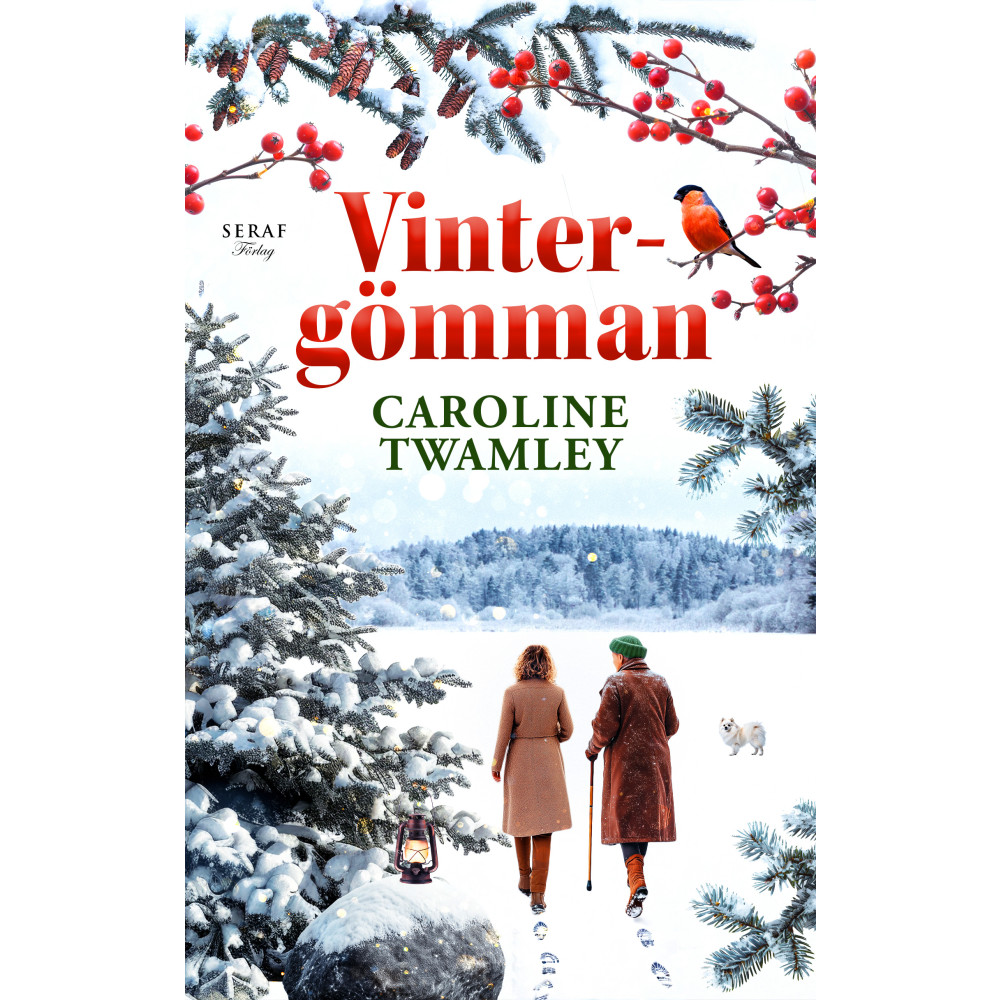 Produktbild för Vintergömman (bok, danskt band)