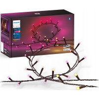 Produktbild för Philips Hue White and Color Ambiance Festavia - stränglampor - LED - 14 W - 2000-6500 K - svart