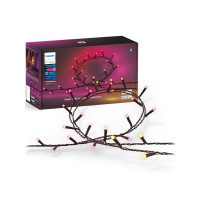 Produktbild för Philips Hue White and Color Ambiance Festavia - stränglampor - LED - 14 W - 2000-6500 K - svart