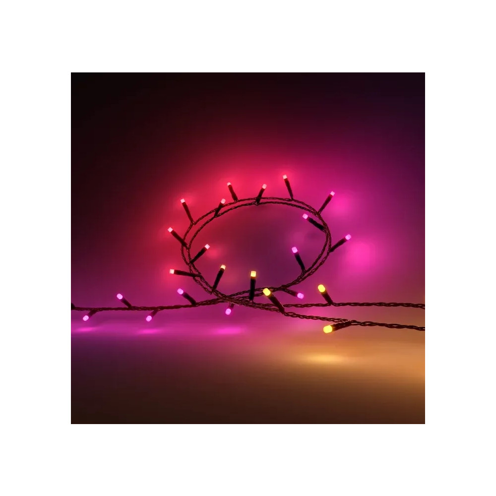 Produktbild för Philips Hue White and Color Ambiance Festavia - stränglampor - LED - 14 W - 2000-6500 K - svart