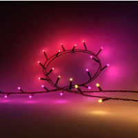Produktbild för Philips Hue White and Color Ambiance Festavia - stränglampor - LED - 14 W - 2000-6500 K - svart