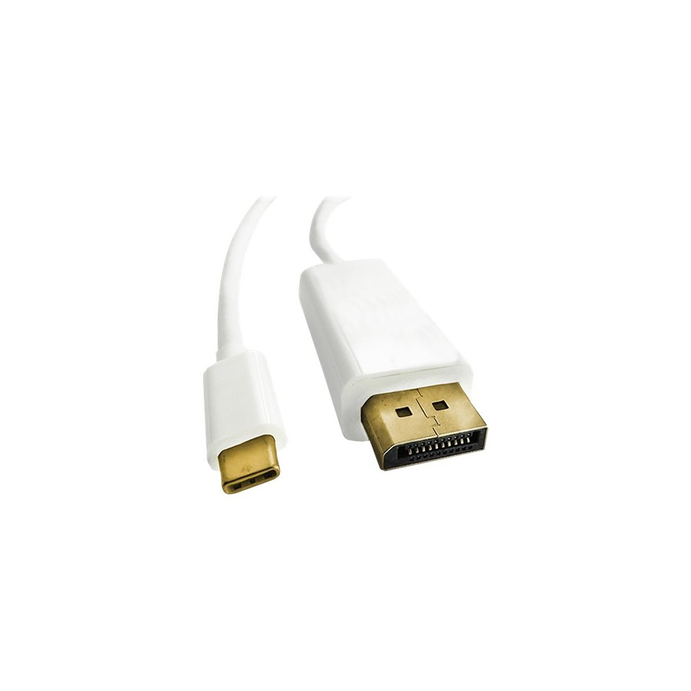 Produktbild för Qoltec - videoadapterkabel - USB-C till DisplayPort - 1 m