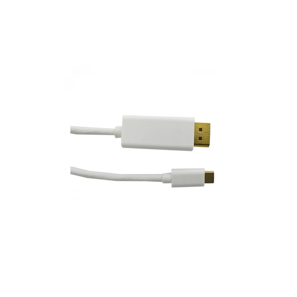 Produktbild för Qoltec - videoadapterkabel - USB-C till DisplayPort - 1 m