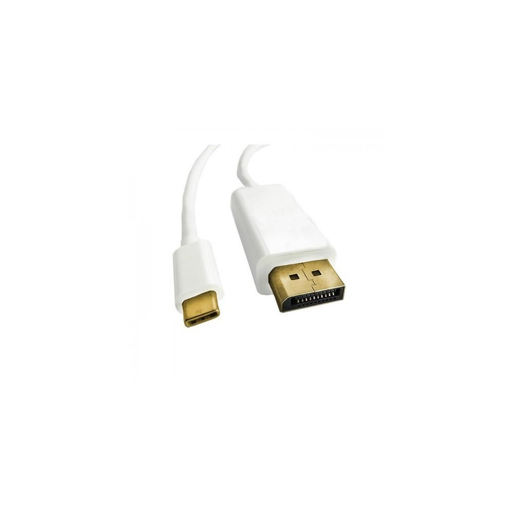 Produktbild för Qoltec - videoadapterkabel - USB-C till DisplayPort - 1 m