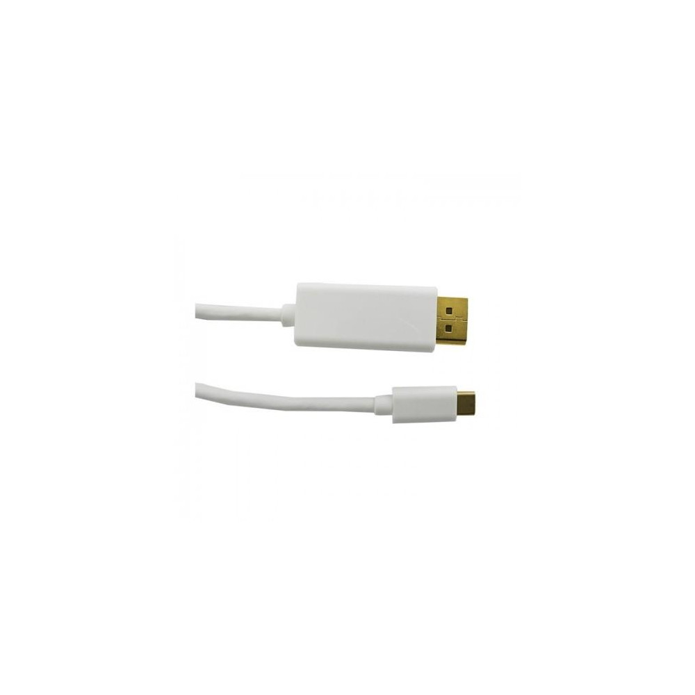 Produktbild för Qoltec - videoadapterkabel - USB-C till DisplayPort - 1 m