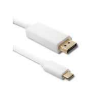 Produktbild för Qoltec - videoadapterkabel - USB-C till DisplayPort - 1 m