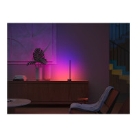 Produktbild för Philips Hue White and Color Ambiance Gradient Signe - skrivbordslampa - LED - 16 miljoner färger/varmt till kallt vitt ljus - 2000-6500 K - svart