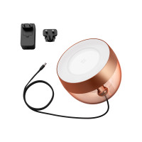 Produktbild för Philips Hue White and Color Ambiance Iris special edition - skrivbordslampa - LED - 8.2 W - 2000-6500 K - koppar, mässing
