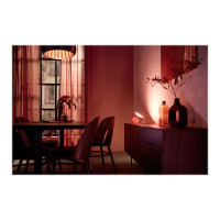 Produktbild för Philips Hue White and Color Ambiance Iris special edition - skrivbordslampa - LED - 8.2 W - 2000-6500 K - koppar, mässing