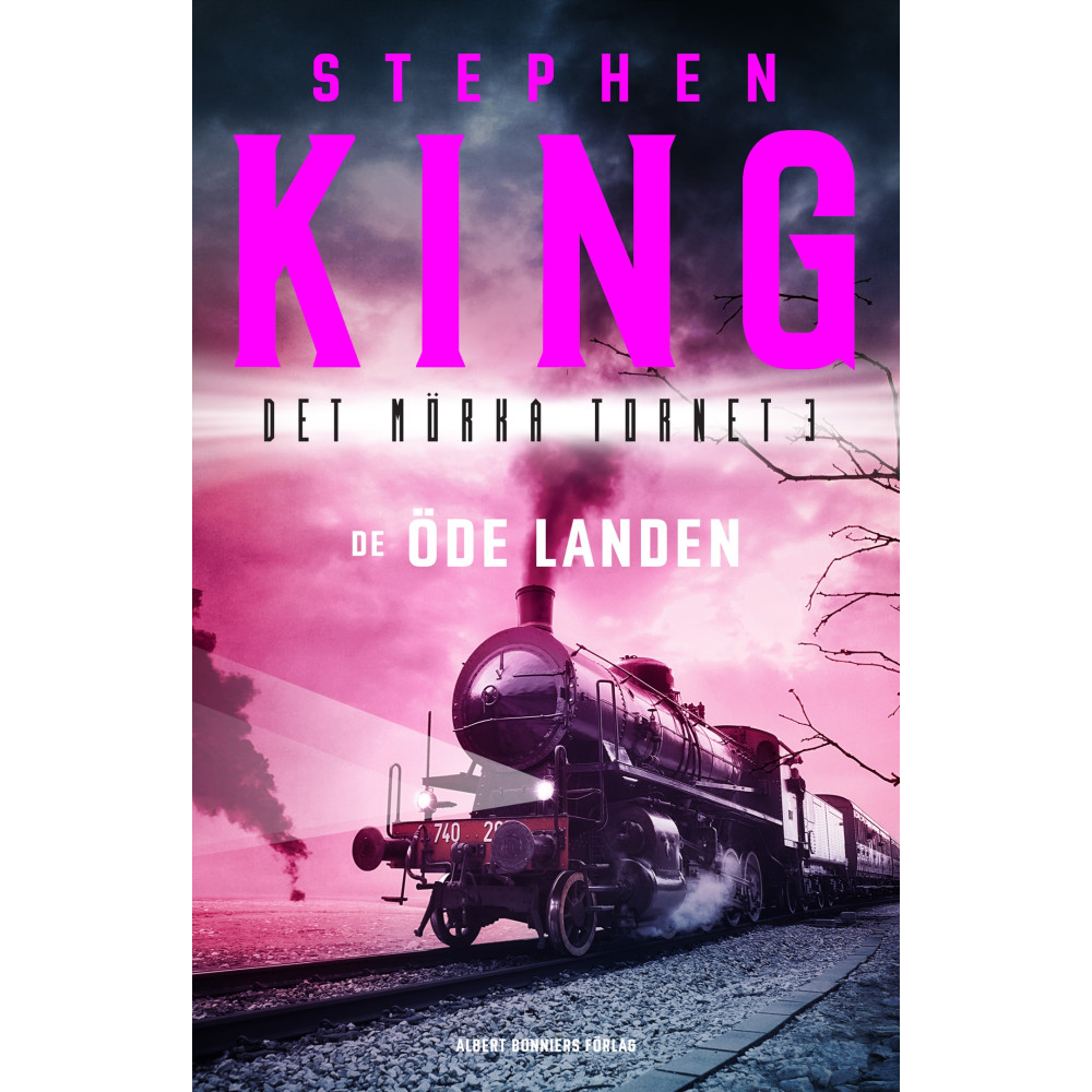 Produktbild för De öde landen (bok, storpocket)