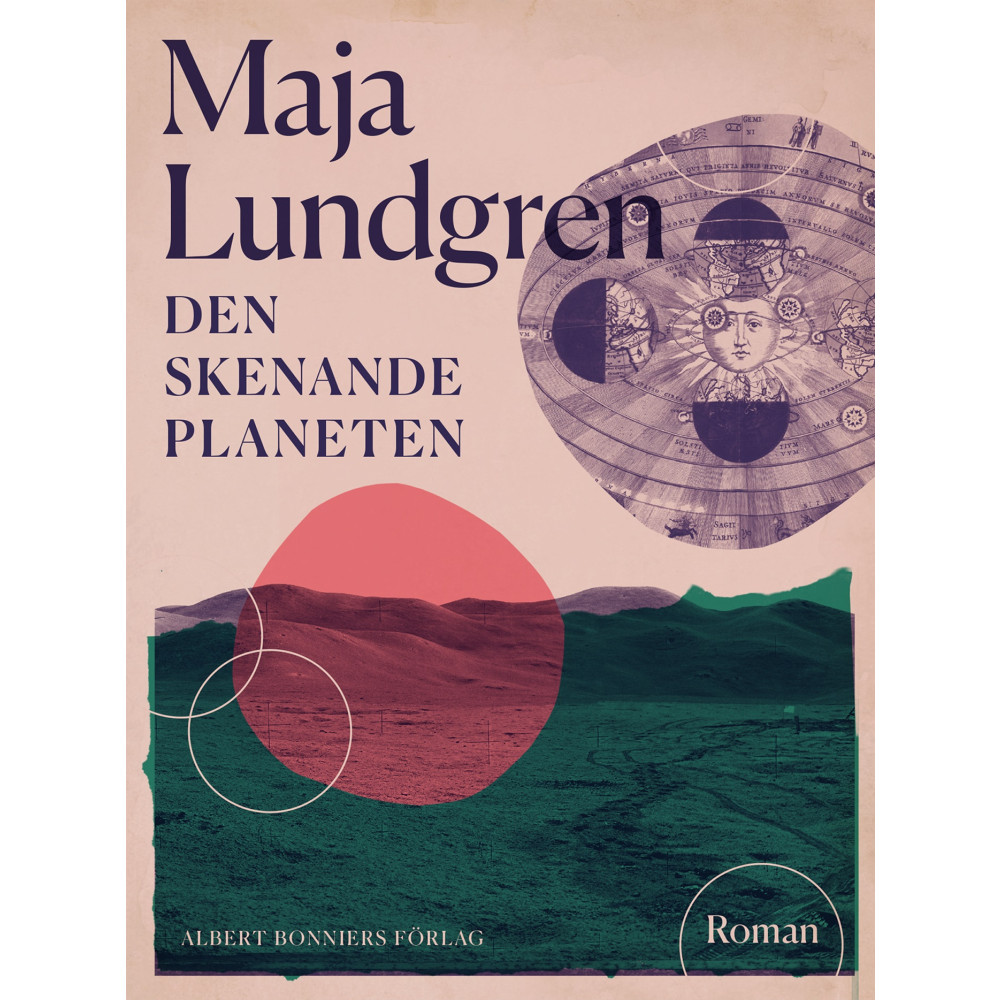 Produktbild för Den skenande planeten (bok, danskt band)