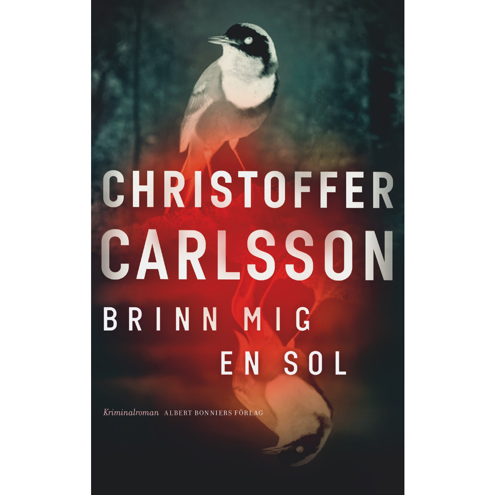 Produktbild för Brinn mig en sol (inbunden)