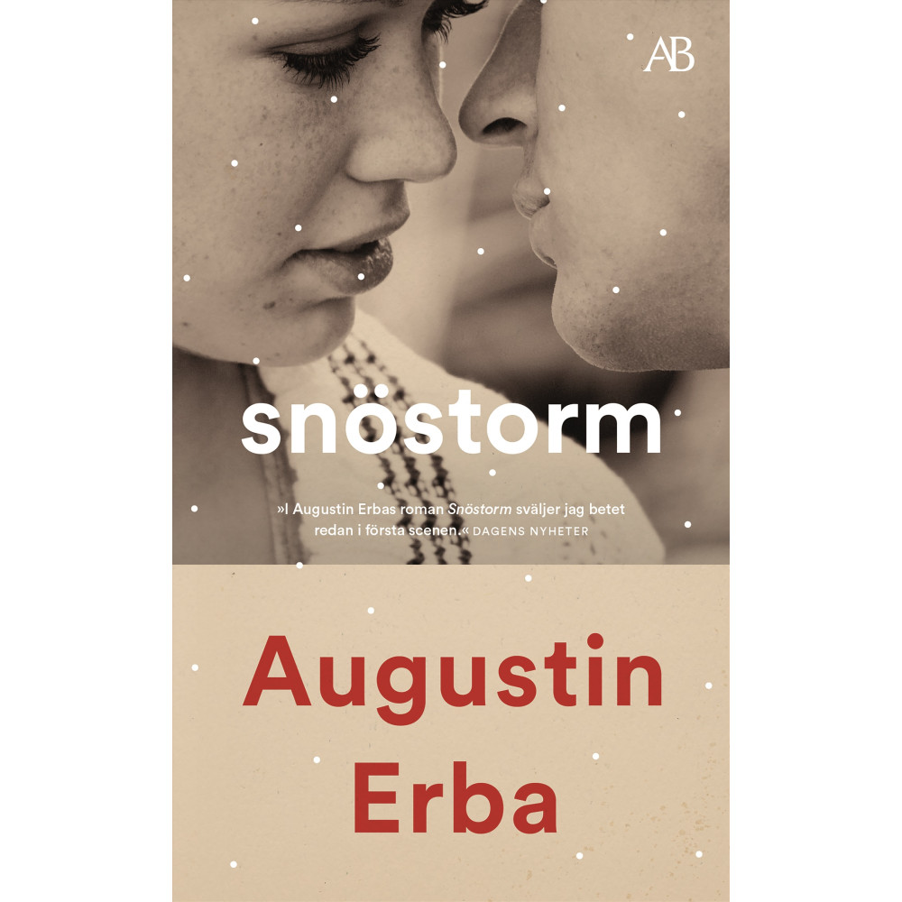 Produktbild för Snöstorm (pocket)