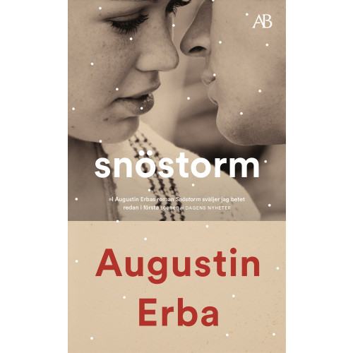 Augustin Erba Snöstorm (pocket)