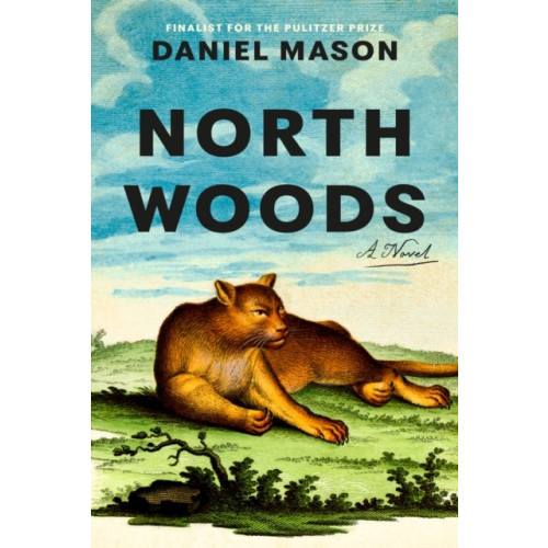 Daniel Mason North Woods (häftad, eng)