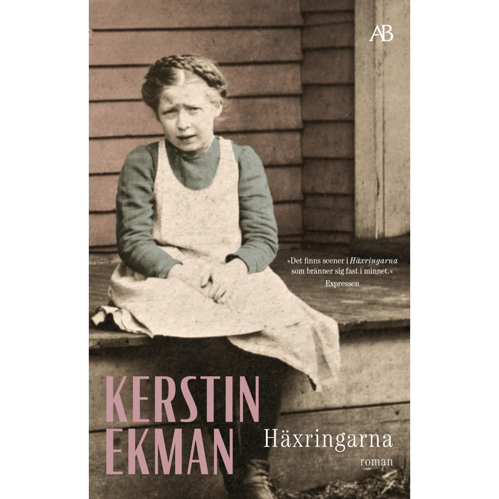 Produktbild för Häxringarna (bok, storpocket)