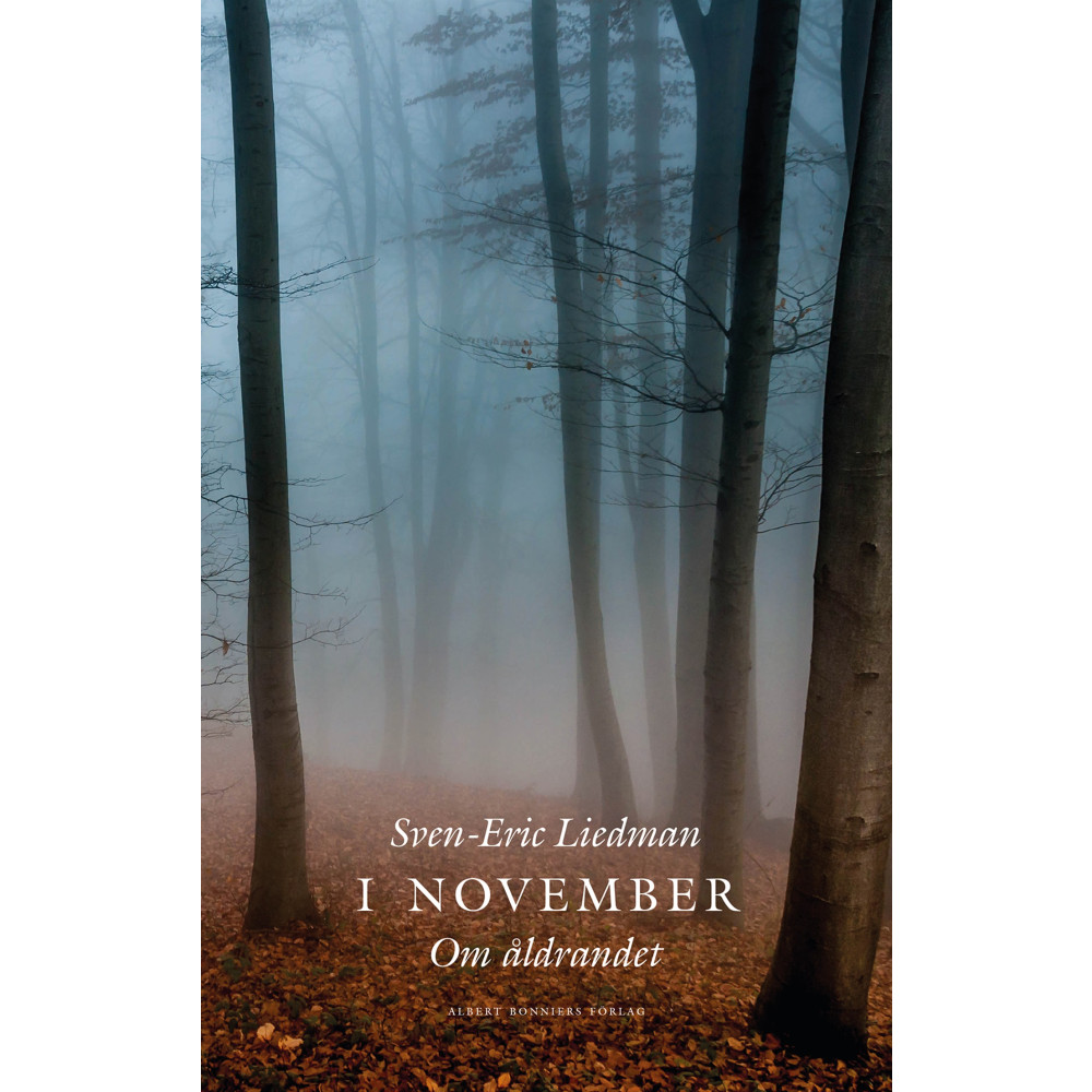 Produktbild för I november : om åldrandet (inbunden)