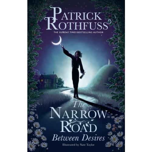 Patrick Rothfuss The Narrow Road Between Desires (pocket, eng)