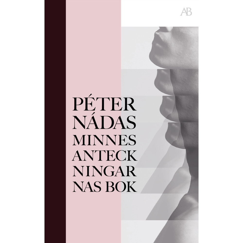 Produktbild för Minnesanteckningarnas bok (bok, storpocket)