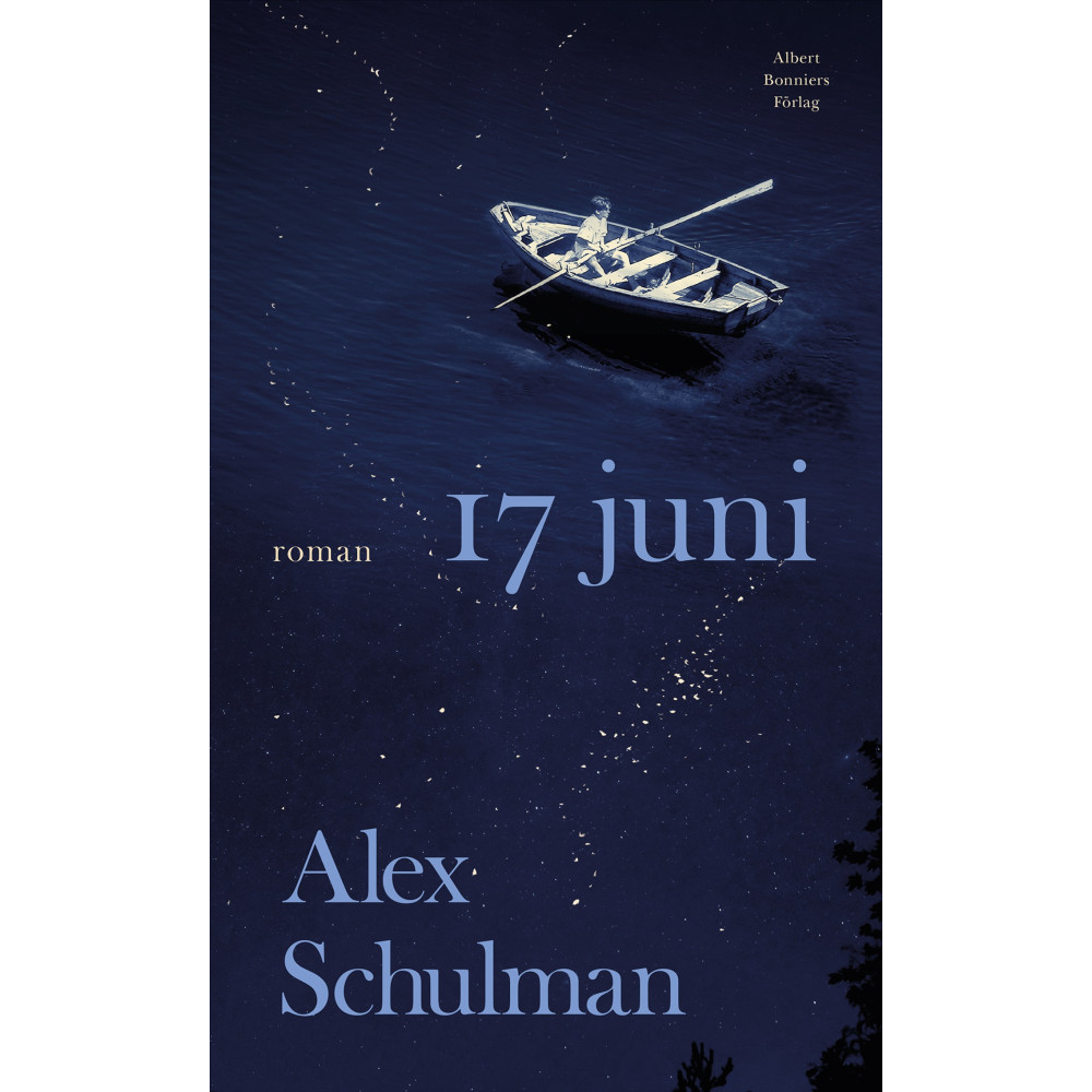 Produktbild för 17 juni (inbunden)